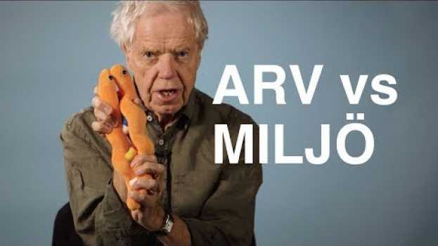 Video  po polsku