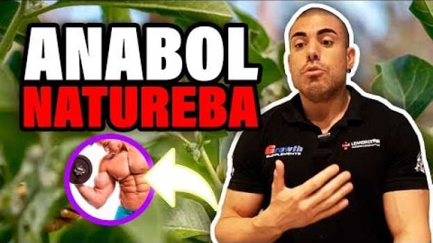 Video Anabolizantes naturais *isso existe?* en français