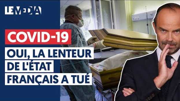 Video COVID-19 : OUI, LA LENTEUR DE L'ÉTAT FRANÇAIS A TUÉ en español