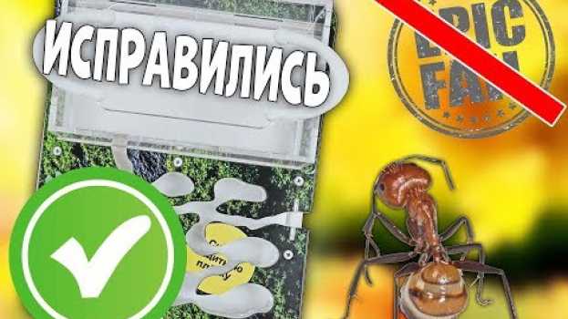 Video Antplanet исправили муравьиные фермы, теперь они опять перезапускаются :) in English