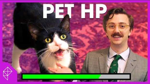 Video Calculate your pet's HP with my 100% legitimate formula | Unraveled   türkçe