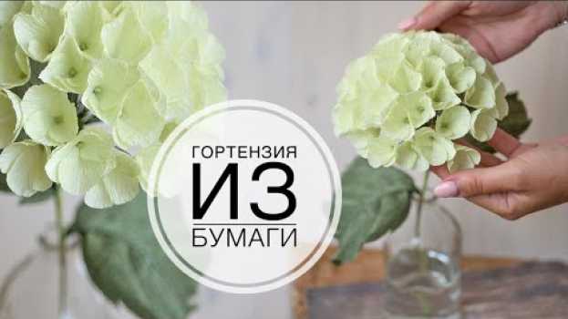 Video Hydrangea made of paper, easy and simple / Гортензия из бумаги, легко и просто / DIY Tsvoric in English