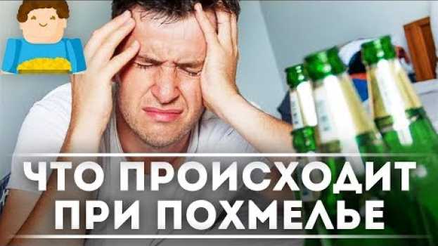 Video Что происходит при похмелье? [Plushkin] auf Deutsch