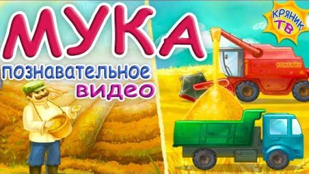Video Что такое МУКА? Познавательное видео про МУКУ. Как делают хлеб. МУКА для выпечки. Продукты питания. en español