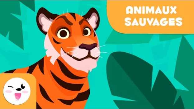 Видео Les animaux sauvages pour les enfants - Vocabulaire pour les enfants на русском