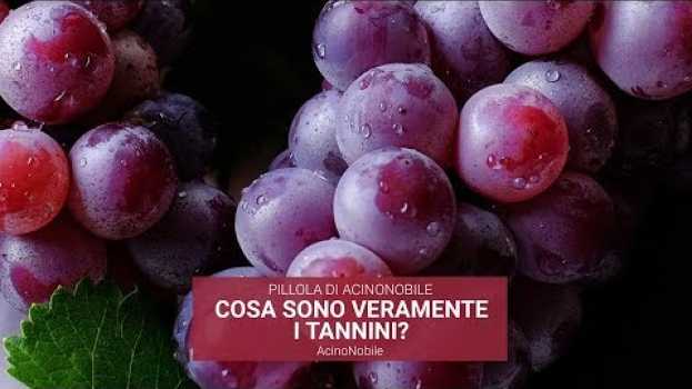 Video Cosa sono i Tannini? en français