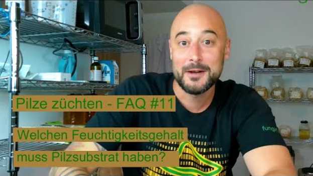 Video Pilze züchten - Welchen Feuchtigkeitsgehalt muss Pilzsubstrat haben? Pilzzucht FAQ #11   türkçe