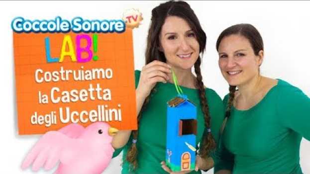 Video Costruiamo la casetta per gli uccellini con la scatola del latte  - Coccole Sonore Lab in English