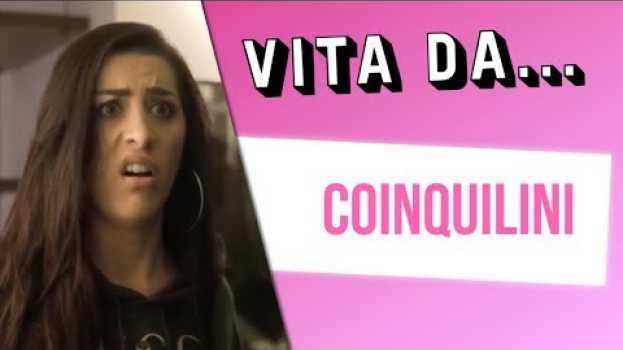 Video VITA DA COINQUILINI 😰 po polsku