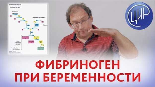 Video ФИБРИНОГЕН при БЕРЕМЕННОСТИ. Превращение фибриногена в фибрин и тромбоз при беременности. auf Deutsch
