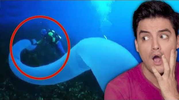 Video 5 FENÔMENOS DO OCEANO que você não vai acreditar! [+10] po polsku
