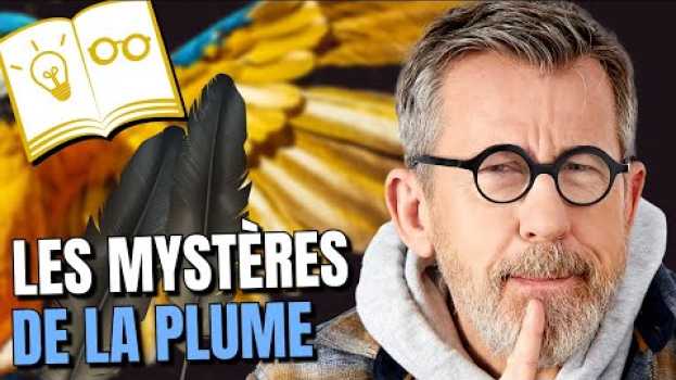 Video Pourquoi les oiseaux n'ont pas froids ? | Jour 24 du confinement en español