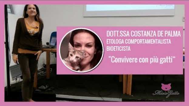 Video CONVIVENZA TRA GATTI: come andare d'accordo? Seminario dott.ssa Costanza De Palma in English