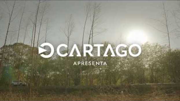 Video CARTAGO DIA DOS PAIS en français