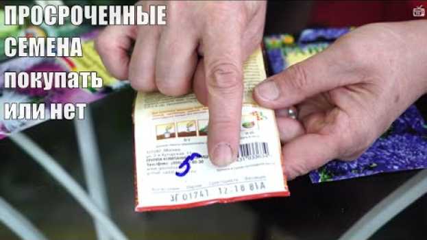 Video Покупать Просроченные Семена или нет? Срок годности семян. su italiano