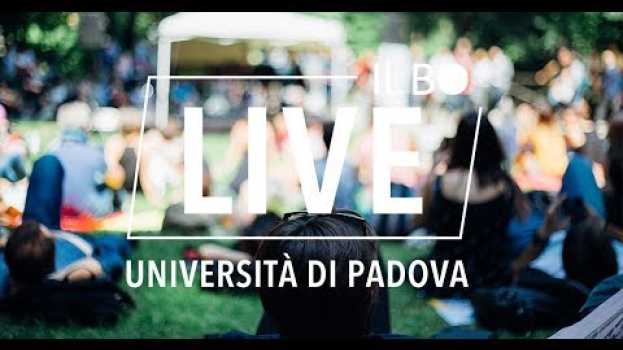 Video Festival musicali: un viaggio nel backstage   türkçe