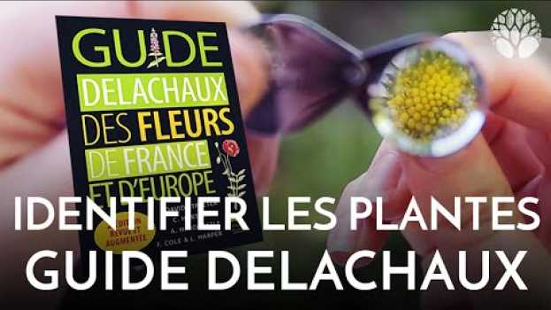 Video Un guide de botanique pour bien identifier les plantes su italiano
