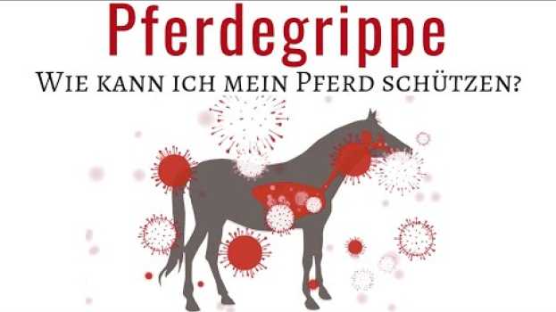Video Influenza - Die Pferdegrippe ? | Die notwendigsten Infos gibt es hier ☝?| Schütze dein Pferd! po polsku