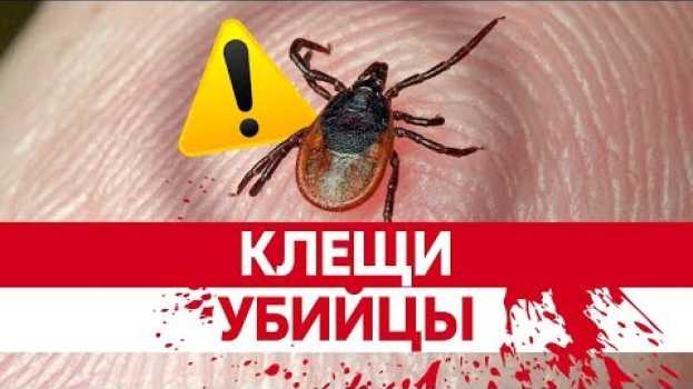 Video СМЕРТОНОСНЫЕ КЛЕЩИ. Как укус клеща может убить вас? Энцефалит, болезнь Лайма, последствия и симптомы en español