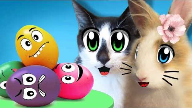 Video ЧТО ДЕЛАЮТ КОТЫ ДОМА? ПРАЗДНИК для СЕМЬИ! КОТ МАЛЫШ И КОШЕЧКА МУРКА em português