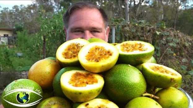 Video 5 Tips How To Grow a Ton of Passionfruit From ONE Passion Fruit! auf Deutsch