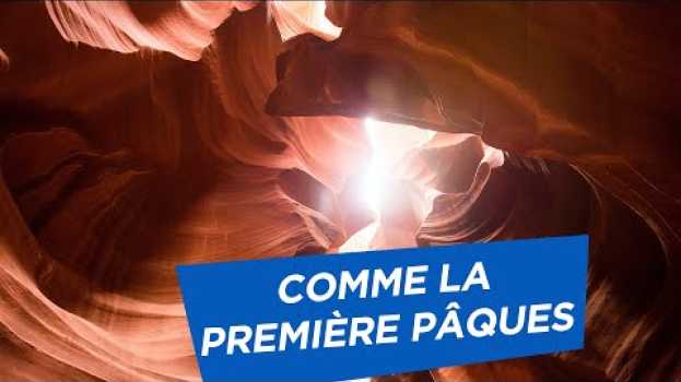 Video COMME LA PREMIÈRE PÂQUES en español