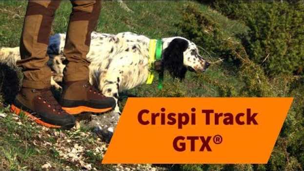 Video Crispi Track GTX®. Scarpone ad alta visibilità per la caccia nel bosco en español
