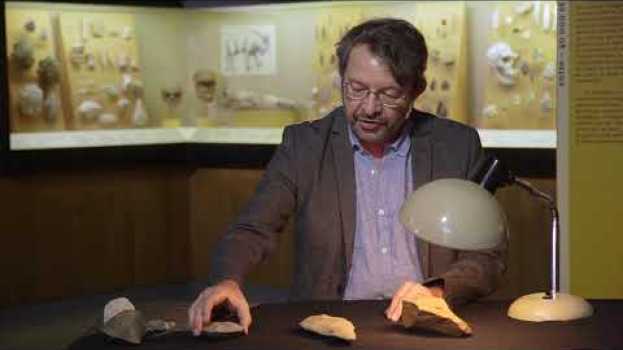 Видео 1.2. Le Paléolithique ancien dans l'Ancien Monde на русском