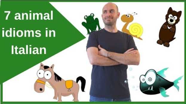 Video Espressioni italiane con gli animali 🐸 🐠 🐎 | Impara l'italiano con Francesco en español