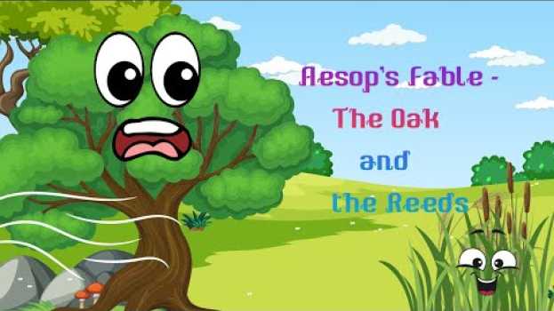 Video Aesop's Fable  The Oak and the Reeds   türkçe