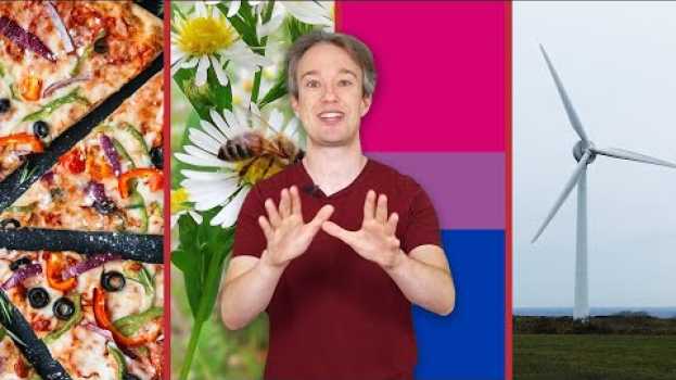 Video 1,204,986 Votes Decided: What Is The Best Thing? em português