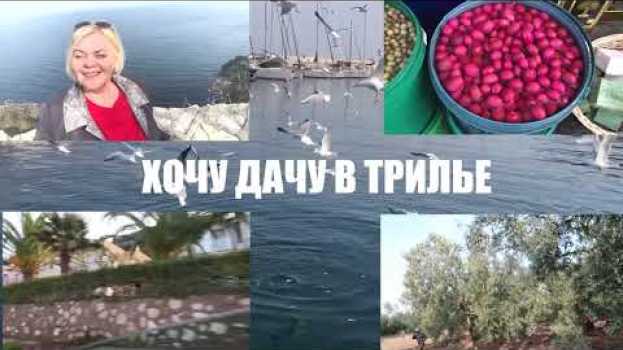 Video ☘ Трилье - это то, что нужно посмотреть в Турции. Путешествуем по Турции самостоятельно. po polsku