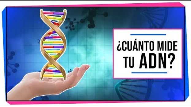 Video ¿Cuánto mide tu ADN? | DATOS INÚTILES PERO INTERESANTES su italiano