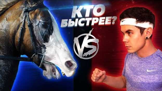 Video КТО БЫСТРЕЙ ЧЕЛОВЕК ИЛИ ЛОШАДЬ? — ТОПЛЕС su italiano