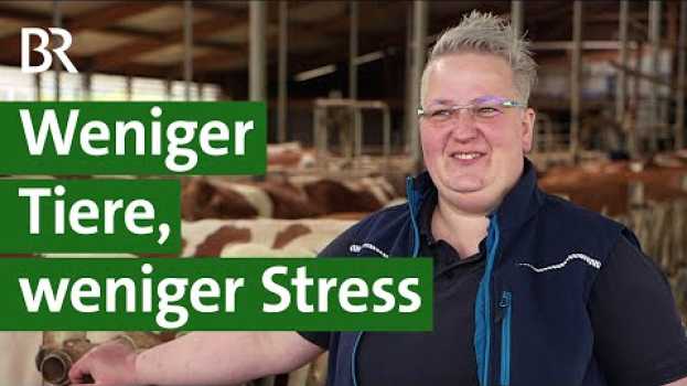 Video Weniger Kälber, weniger Milch, mehr Tierwohl? Landwirtin managt ihren Stall anders | Unser Land | BR   türkçe