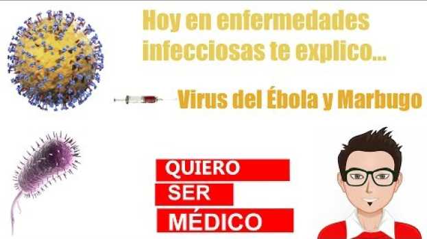 Video Virus del Ébola y Marburgo. ¿Qué se conoce de ellos a día de hoy? po polsku