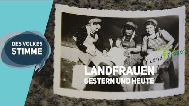 Video Des Volkes Stimme | Im Zeichen der Biene – In Alfdorf entsteht der erste Landfrauenverein nach 1945 em português