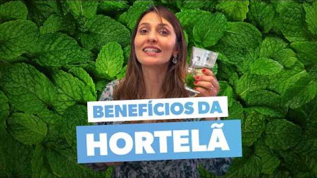 Video HORTELÃ: para que serve e como usar   türkçe