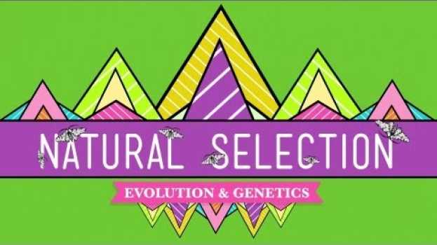 Video Natural Selection - Crash Course Biology #14   türkçe