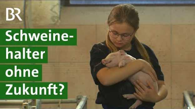 Видео Schweinehalter in der Krise: Wird es ein staatliches Ausstiegsprogramm geben? | Unser Land | BR на русском