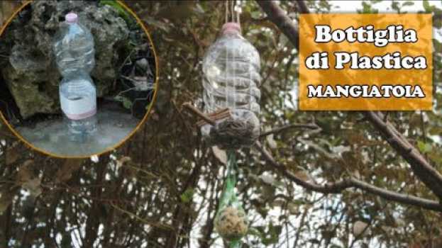 Video MANGIATOIA per uccelli selvatici con una BOTTIGLIA di PLASTICA - Riciclo in giardino & Birdgarden em português