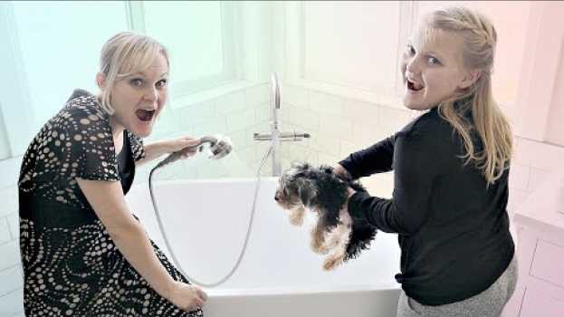 Video New PUPPY'S First Bath! en español