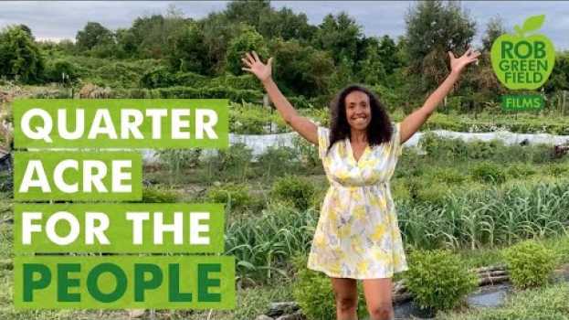 Video Quarter Acre for the People en français