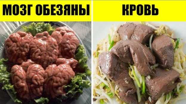 Video 40 экзотических блюд со всего мира auf Deutsch