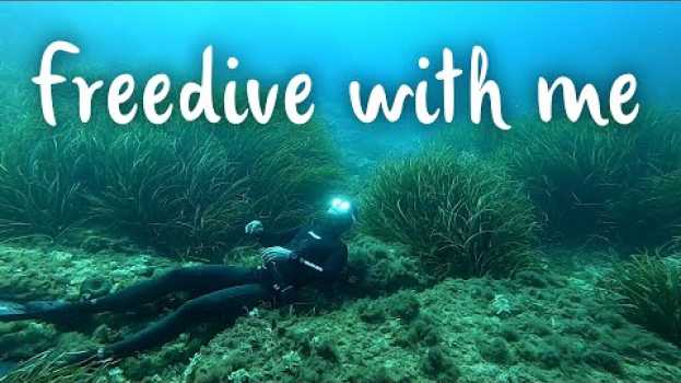 Video Apnée de 5min en LIVE avec moi en mer // Hold your breath with me at sea 5min in English