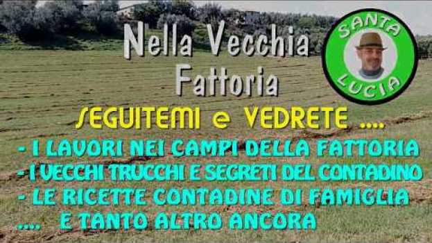 Video PRESENTAZIONE NELLA VECCHIA FATTORIA SANTA LUCIA in English
