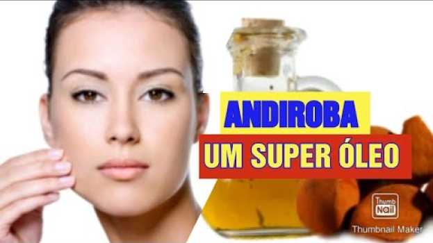 Video Andiroba e seus benefícios po polsku