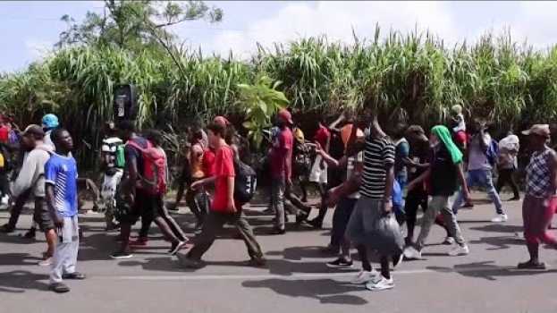Video Las autoridades mexicanas atacan a una caravana de solicitantes de asilo que se dirigía a EE.UU. po polsku