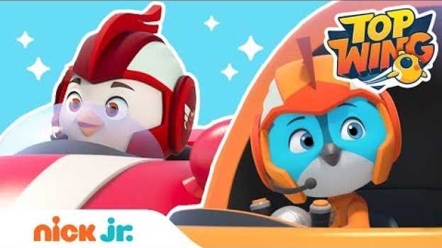 Video Racing, Tricks & More 🏁 Top Wing Obstacle Course Challenge | Top Wing | Nick Jr. po polsku