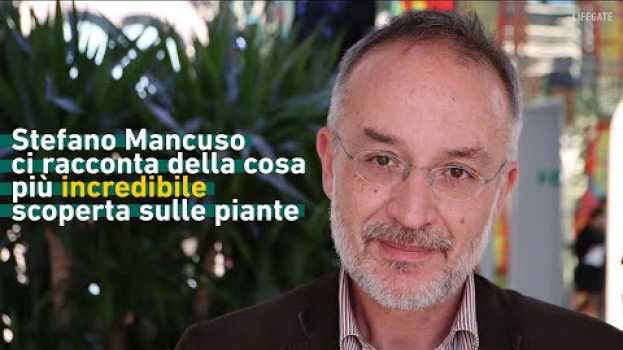 Video Il neurobiologo Stefano Mancuso ci racconta la cosa più bella che ha scoperto sulle piante em português